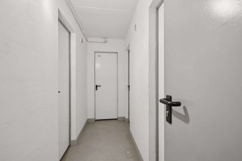 Keller Zugang Penthouse Wiesbaden (1) Penthousewohnung Wiesbaden