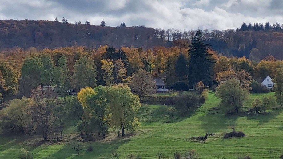 Ausblick Einfamilienhaus Niedernhausen