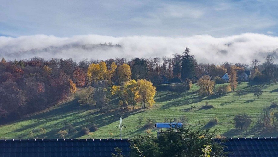 Aussicht Einfamilienhaus Niedernhausen